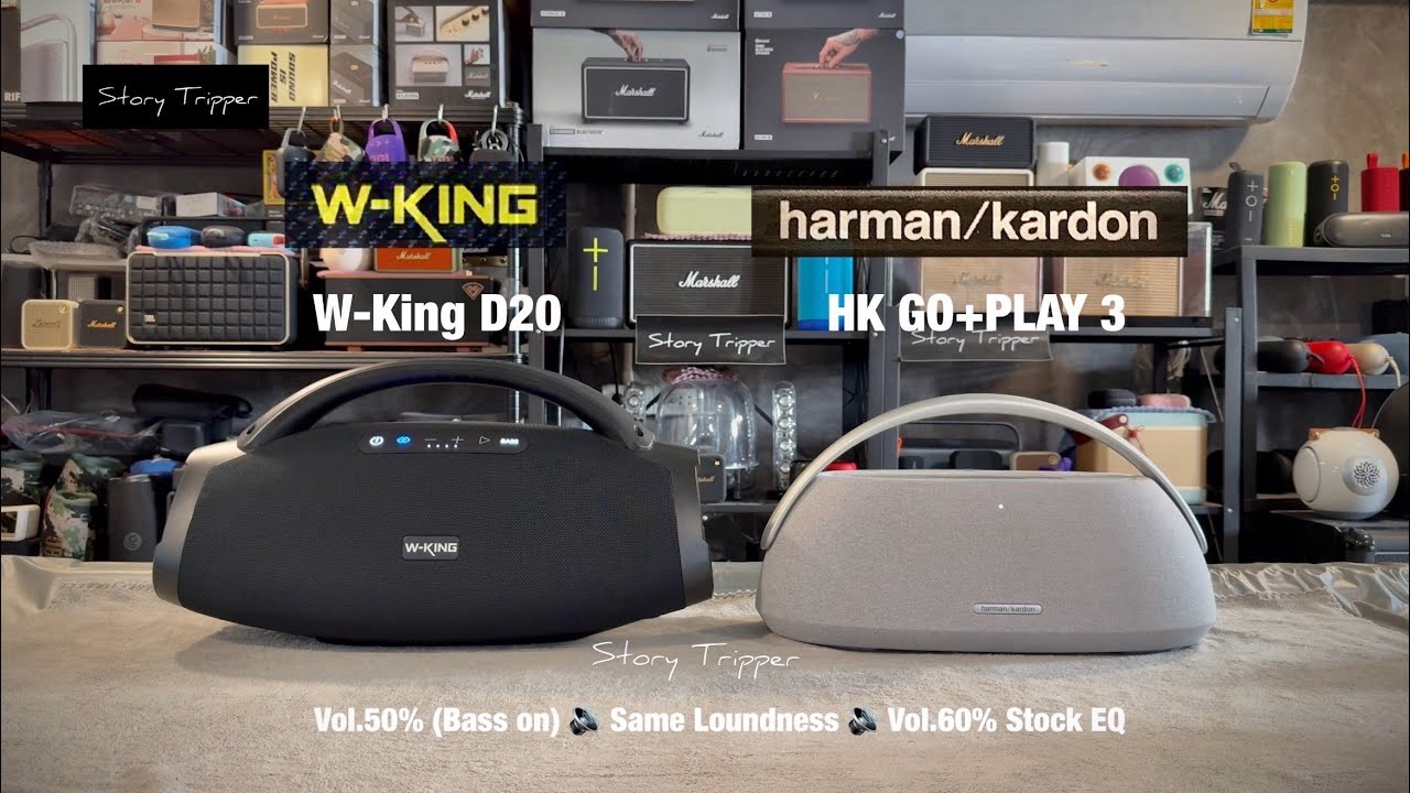 W-King D20 (X20) vs Harman Kardon GO+Play 3