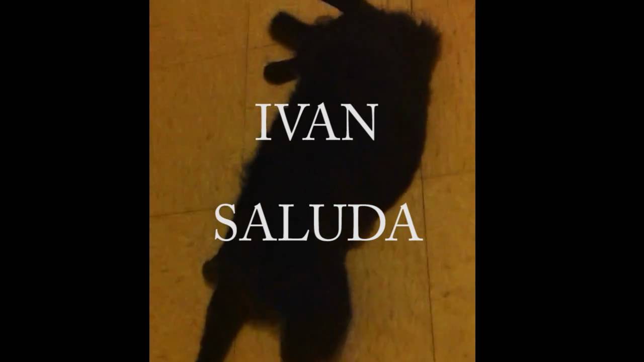 Mi gato Ivan saluda