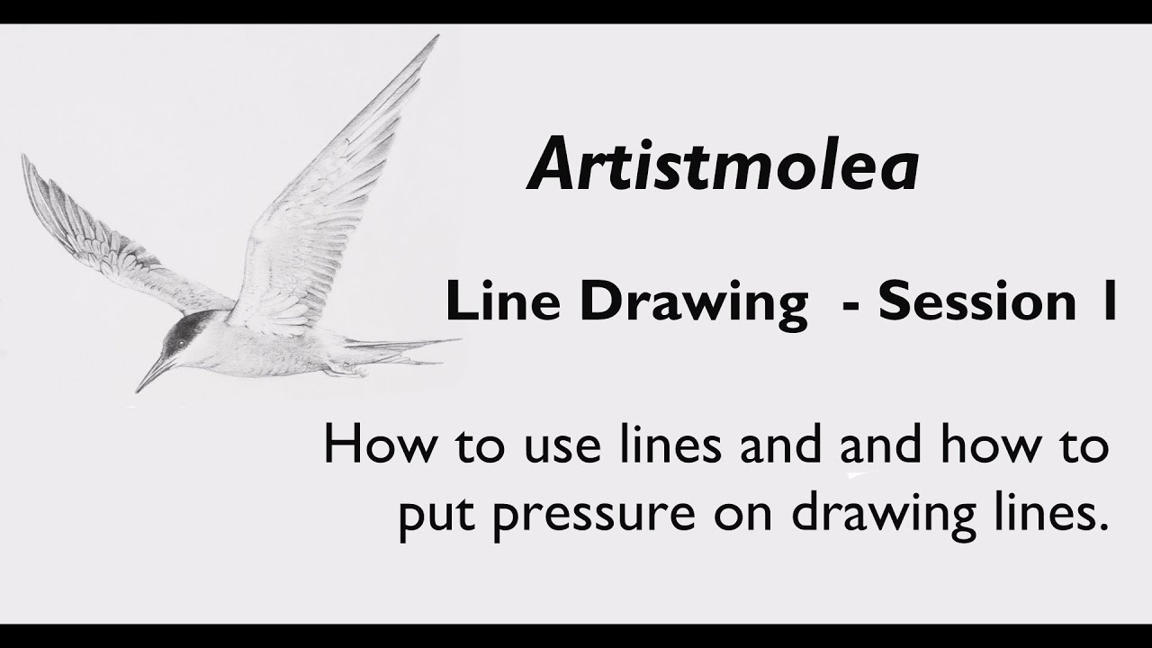 ART 1. Line Drawing for children