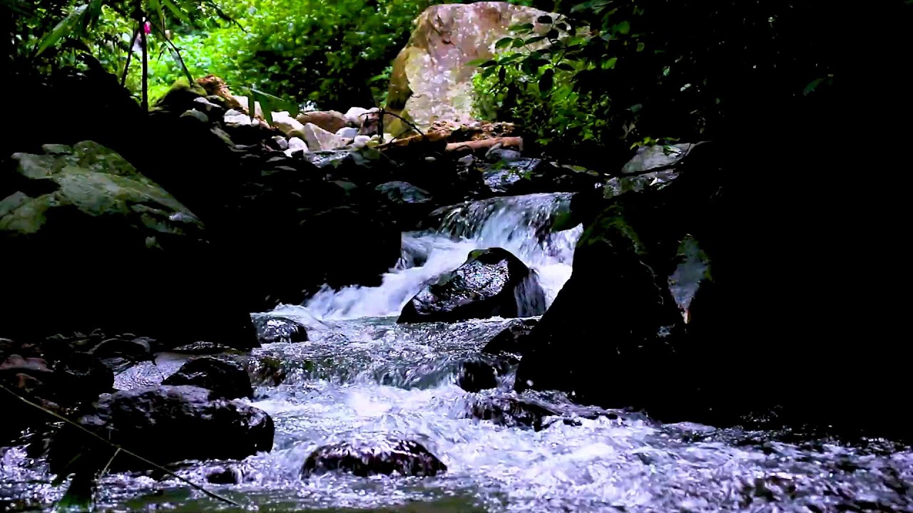Calm Flowing River Sounds | Deep Sleep Therapy for Mind and Body