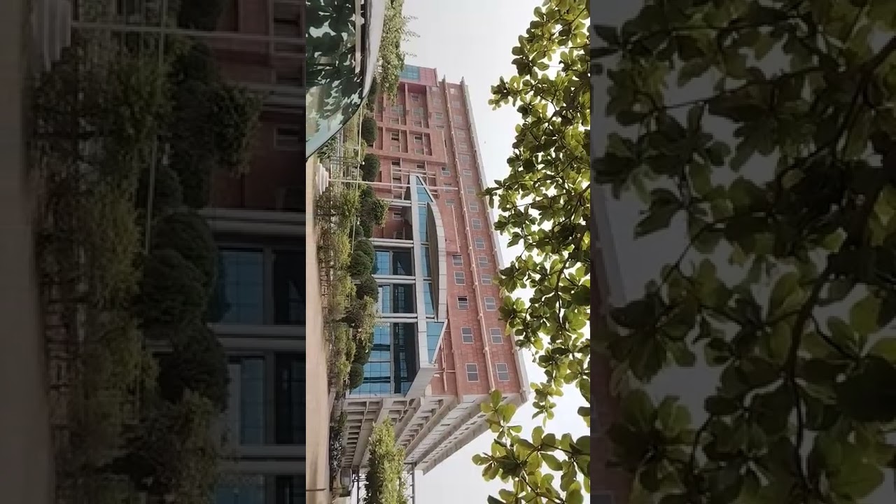 BHARTI COLLAGE DURG