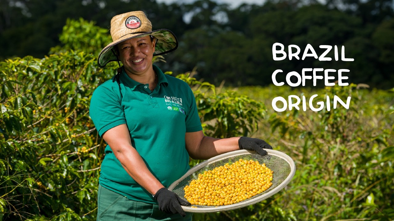 At Field Drip, we’re proud to partner with Colheita das Alegrias, Hugo’s family farm in Brazil.