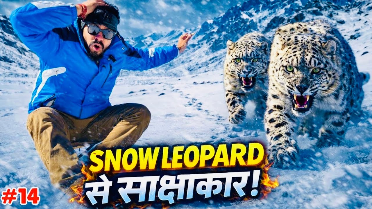 अकेले धनकर फ्रोजन लेक पर पहुंचे | यहां हैं स्नो लेपर्ड का खतरा | SOLO TRACTOR TRAVELLER 