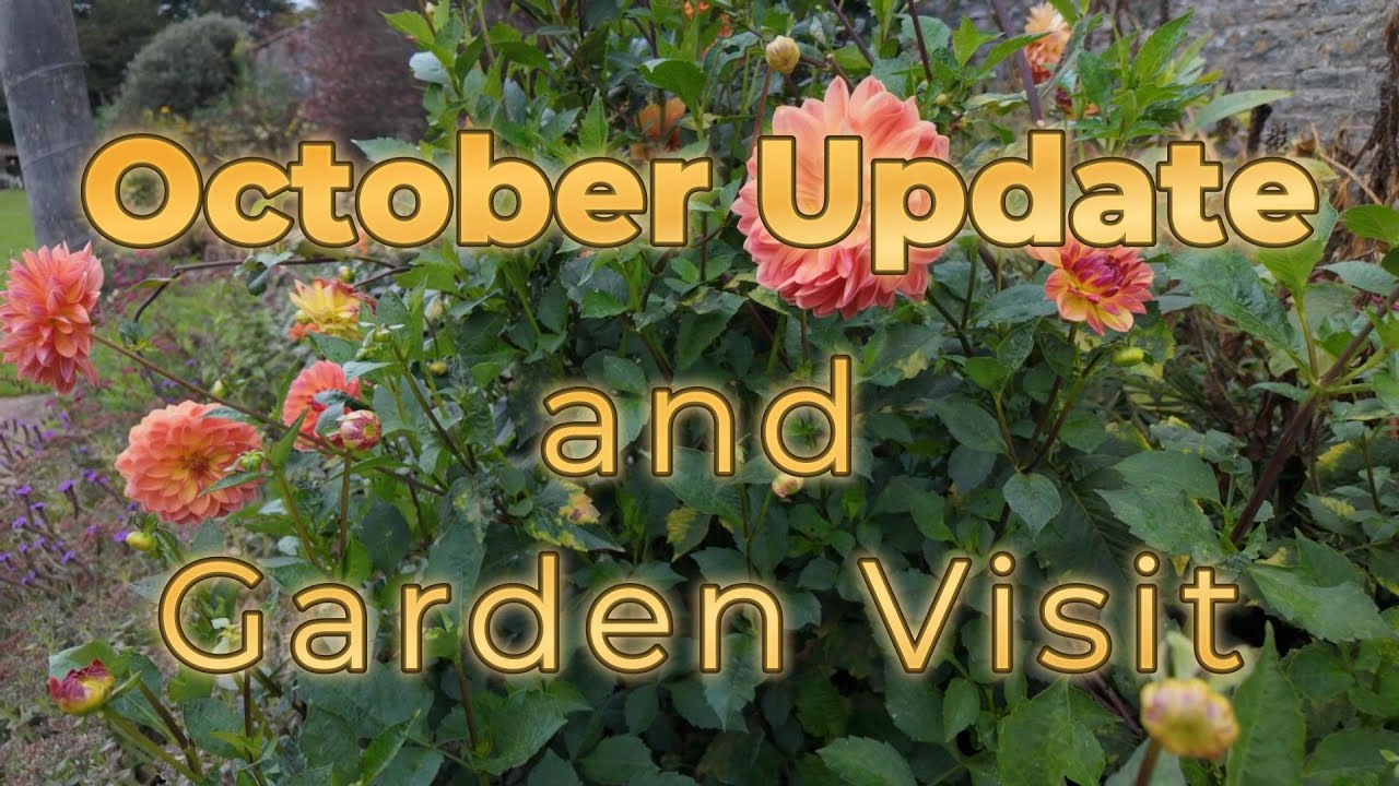 Allotment in October