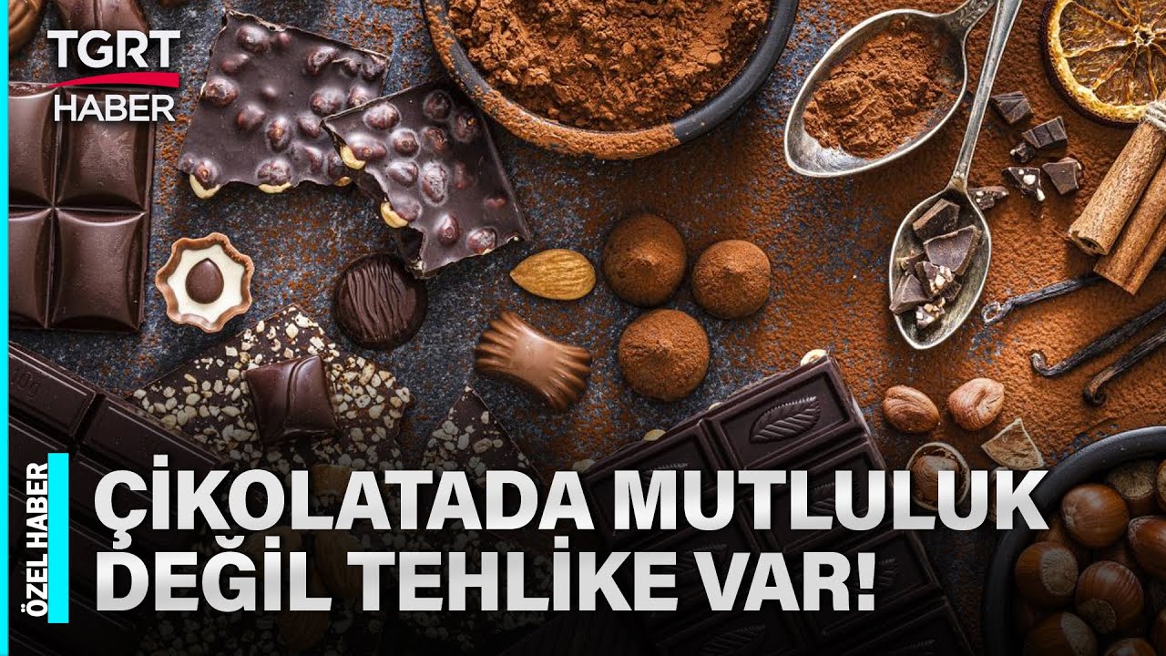 Çikolatanın da Tadı Kaçtı! Sahtekarların Gıda Hileleri Eşsiz Lezzete de Bulaştı – TGRT Haber