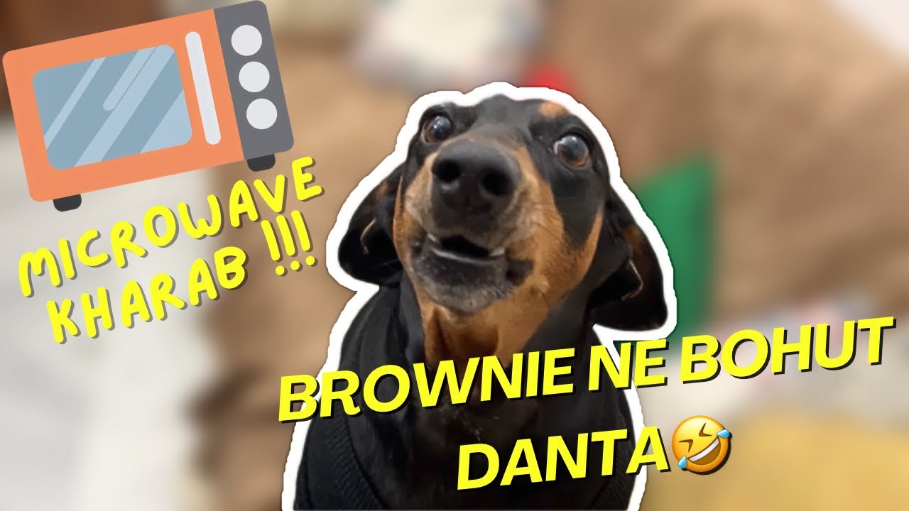 Microwave kharab + brownie ne bohut danta 🤣
