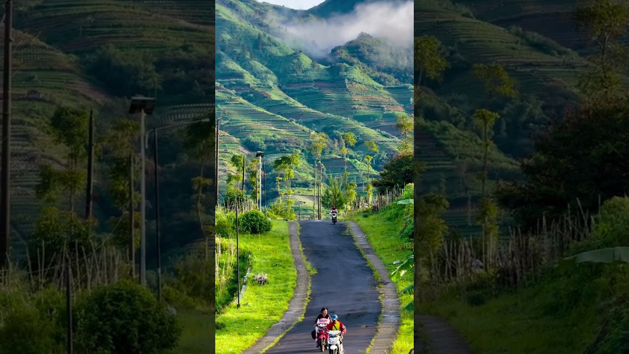 Swiss Van Java Wonosobo #dieng #swissvanjava