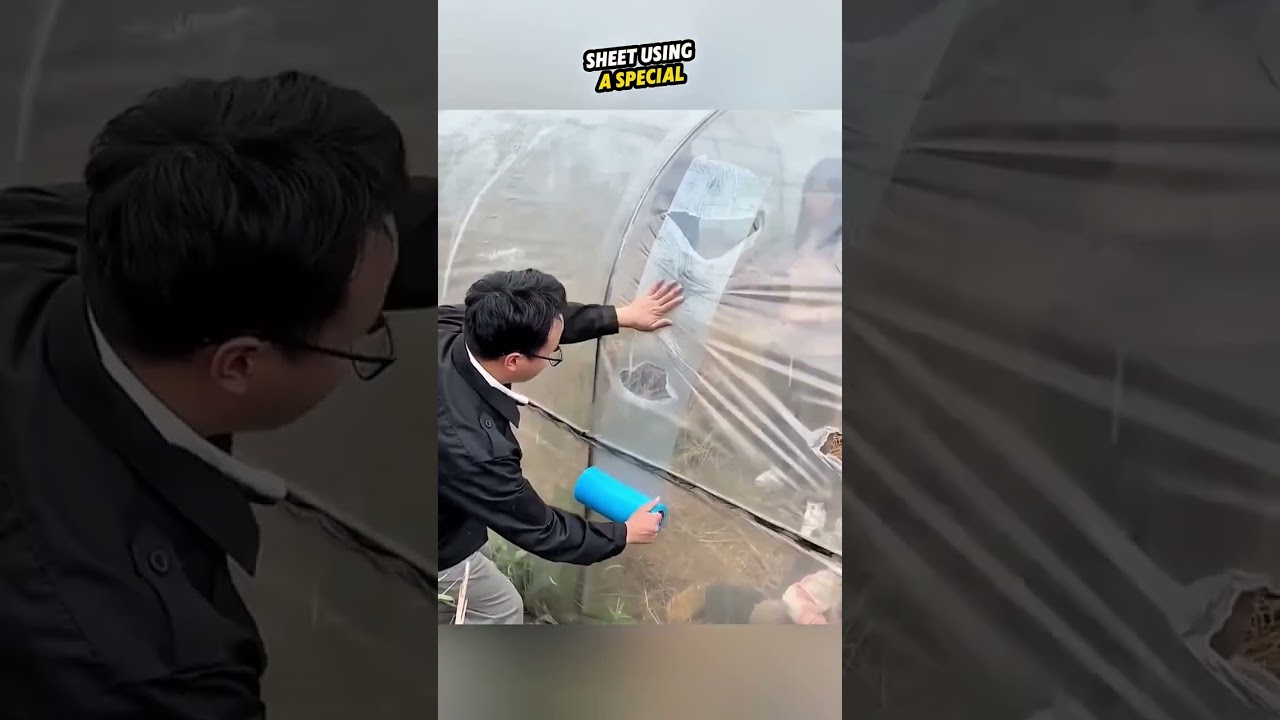 Он всё исправил — и преподал им урок 🌱🛠️ 