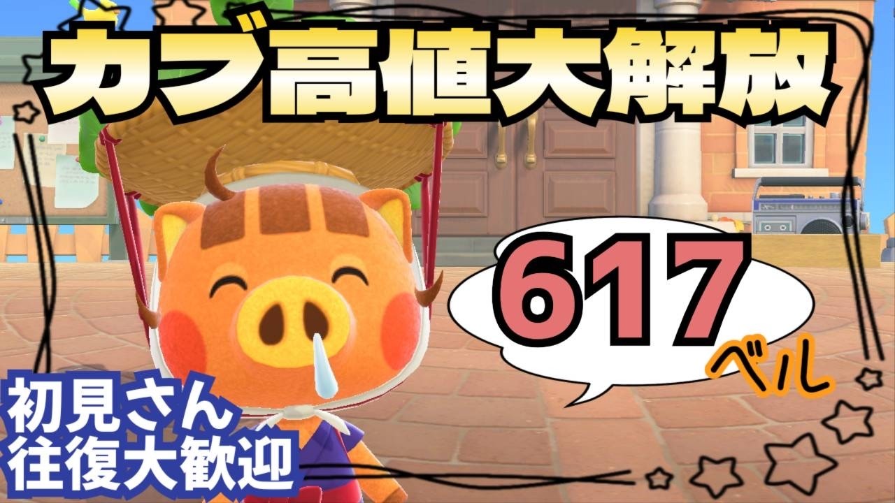 【あつ森実況】みんなで協力カブ厳選！参加型！【初見さん歓迎！】