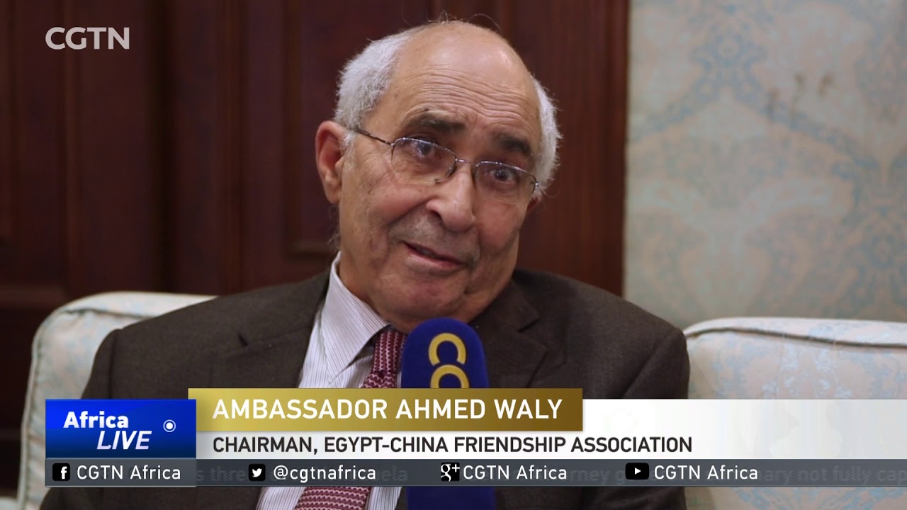 Chinese-Arab friendship association expand ties