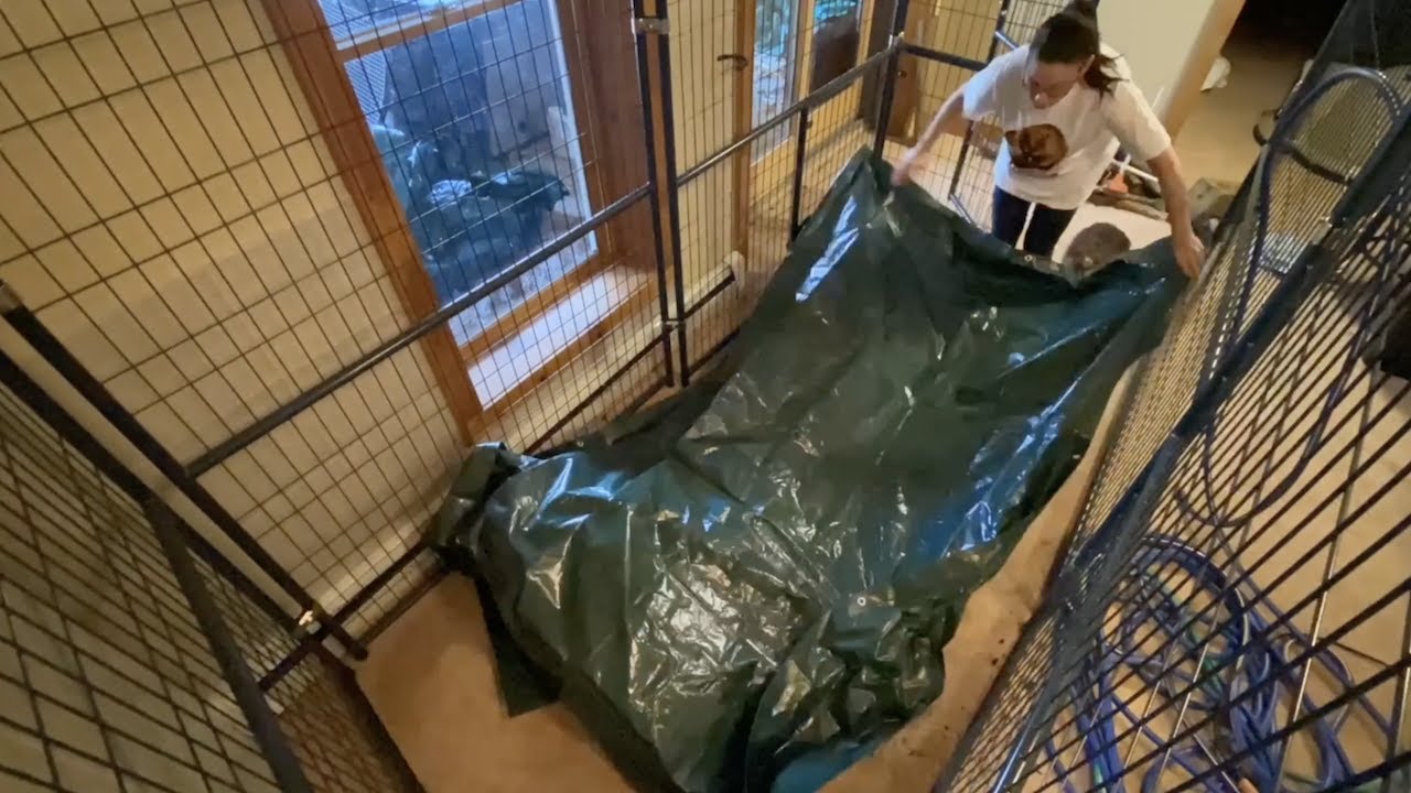 BEAVE THE BEAVER ENCLOSURE MAINTENANCE AND CLEANING