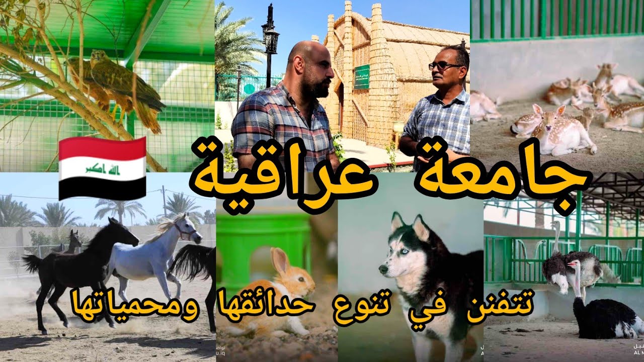 جولة في محمية جامعة المستقبل وجود حديقة حيوانات مصغرة ومشاتل ومزرعة الفطر وبيوت زراعية الإنتاج الخضر