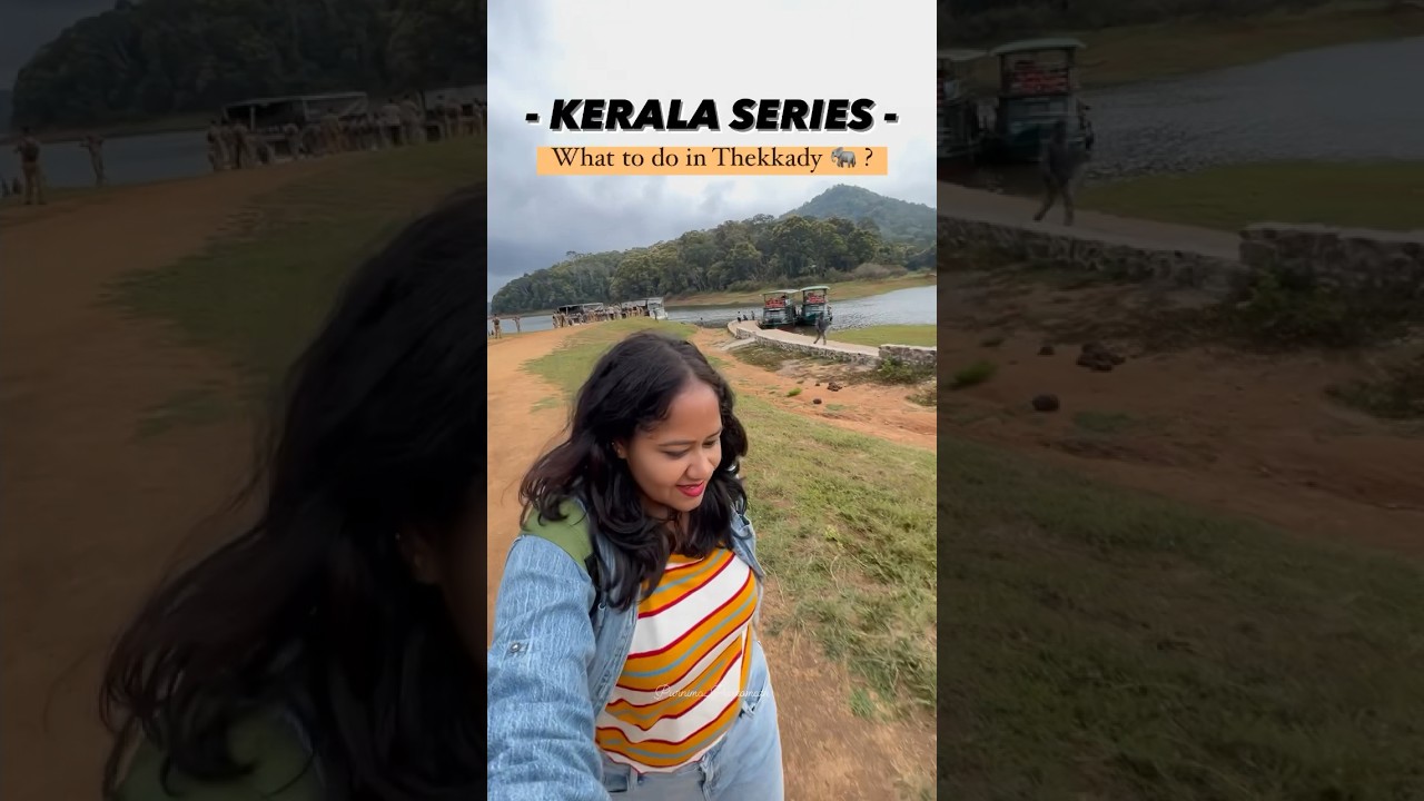 What to do in Thekkady ? 😍 #kerala #thekkady #periyar #trendingshorts #solotravel