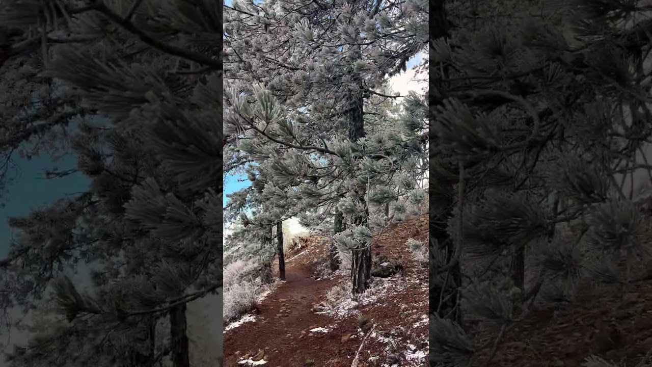 First snow in Cyprus 