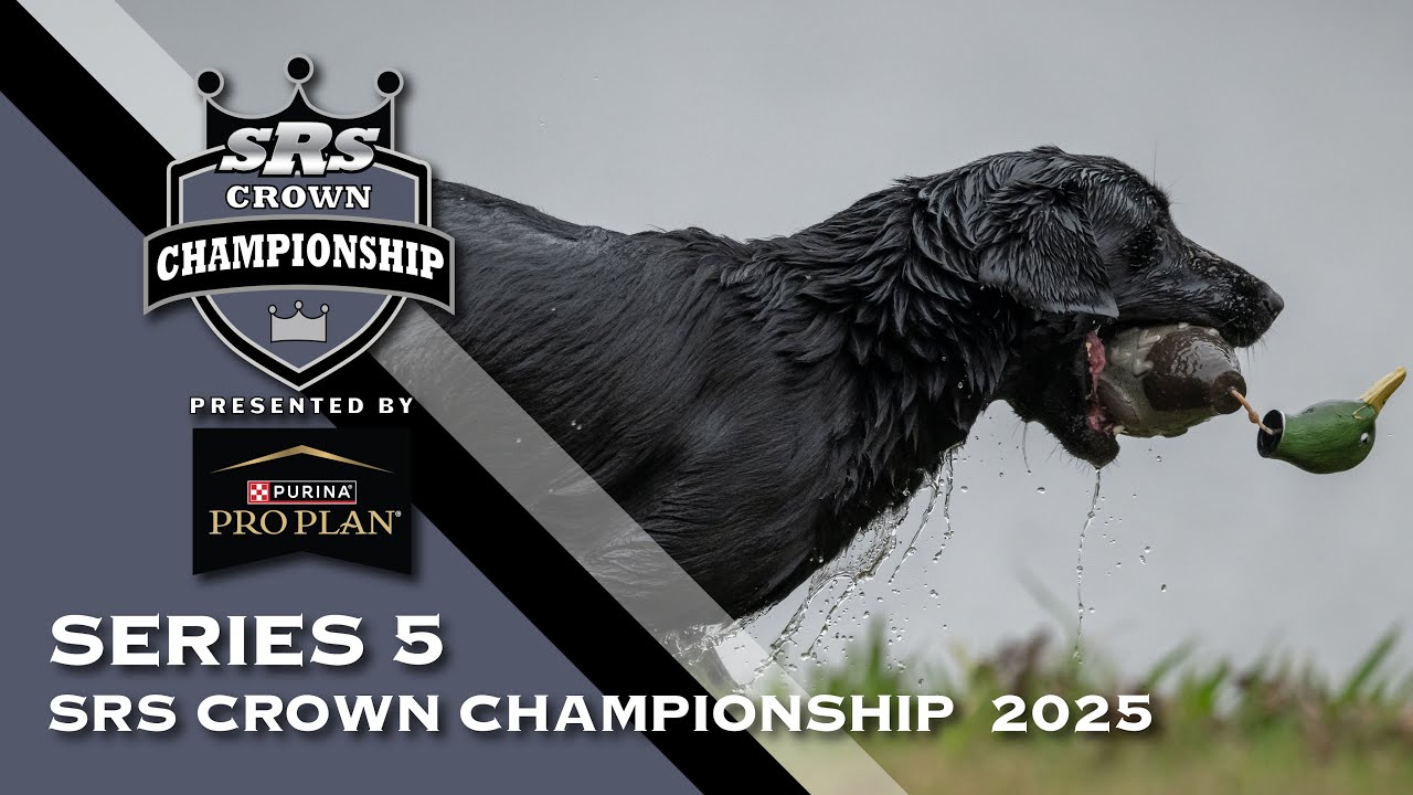 2025 SUPER RETRIEVER SERIES CROWN CHAMPIONSHIP - SERIES 5 FINALS