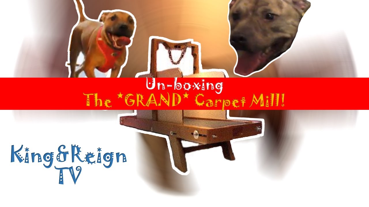 Unboxing The GRAND Carpet Mill! King&Reign TV