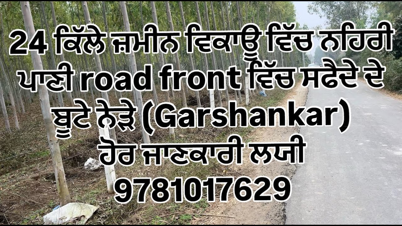 24 kille land for sale with road front nahri pani safeda for more information call 9781017629