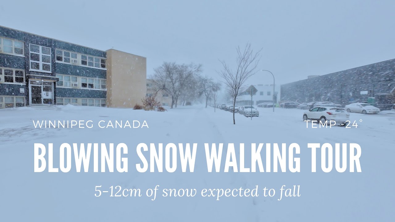 Blowing Snow Walking Tour 🌨️ In Winnipeg 🇨🇦 | Winter