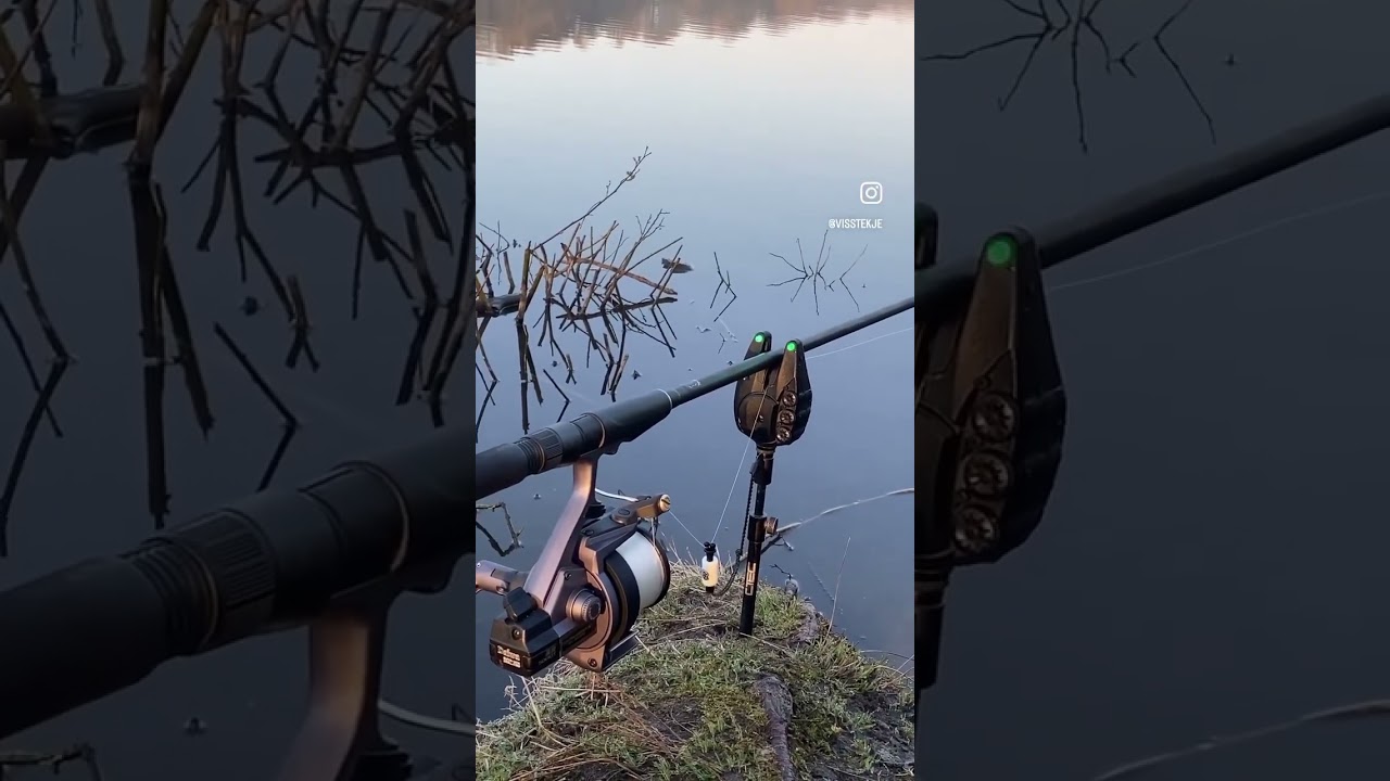 CARP RUN - 3 million views on Instagram - foxRX+ #carpfishing #fishing #millionviews