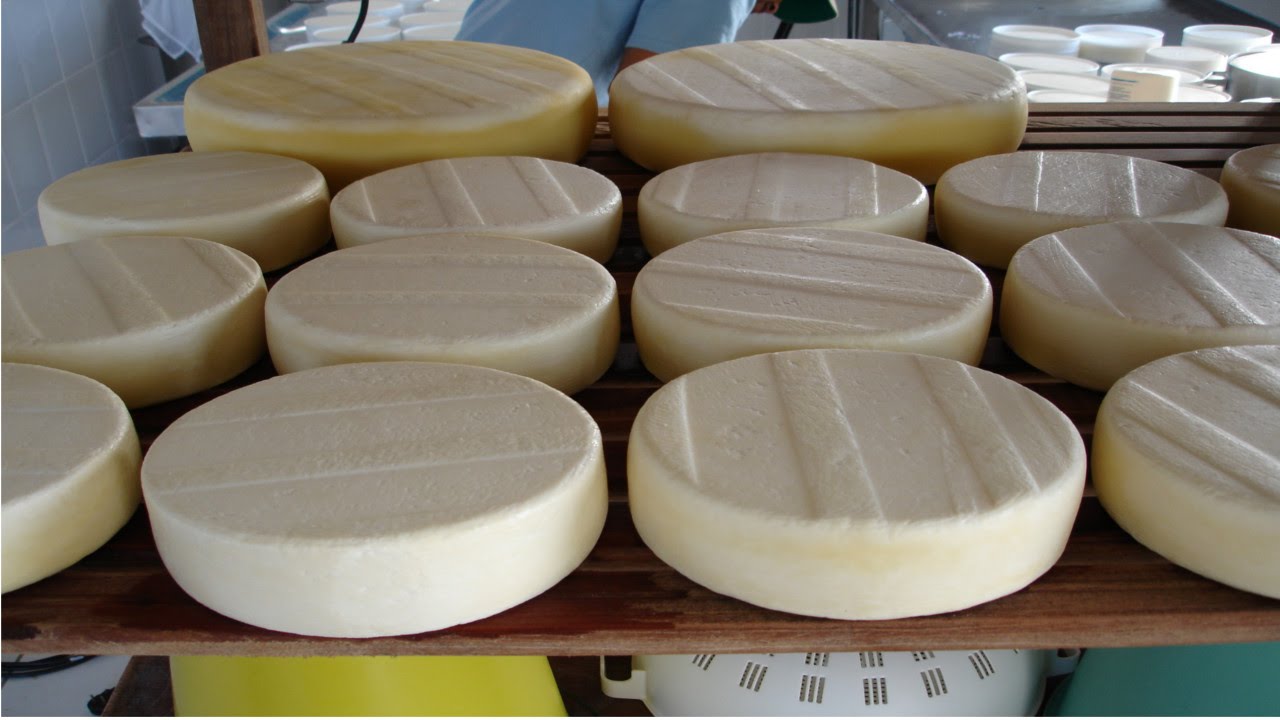 Curso Produção de Queijo Artesanal do Serro e Canastra - Queijo Canastra - Cursos CPT