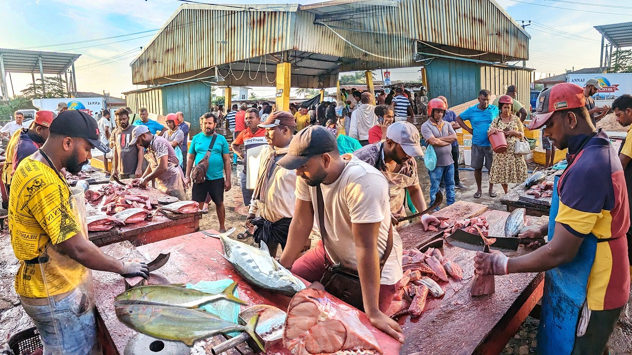 WoW ATTRACTIVE !! Biggest Street Fish Cutting Fish Market In Sri Lanka EXPERT MASTER FISH CUTTING
