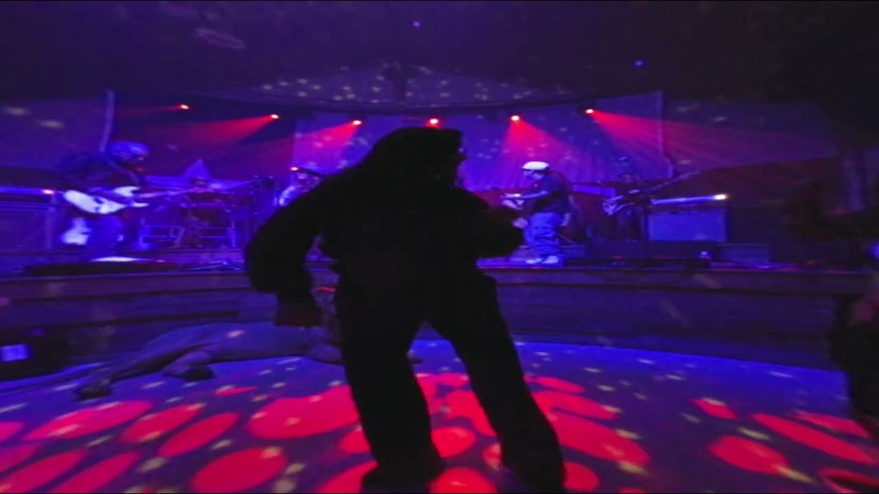 Live! From Inside The Fence: Rock With You