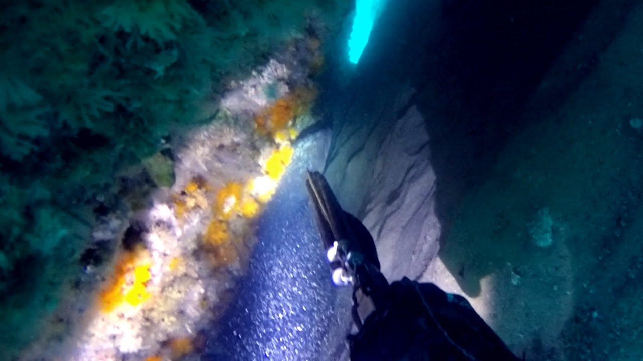 Vídeo de Pesca Submarina de José Miguel López Corrales del equipo Pathos