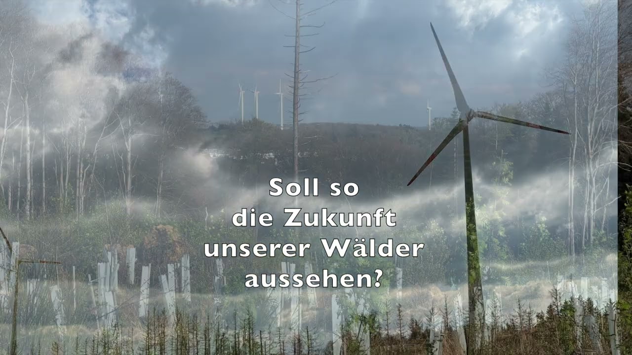 Der stumme Appel allen Lebens - keine weitere Invasion der Windkraft in die Wälder