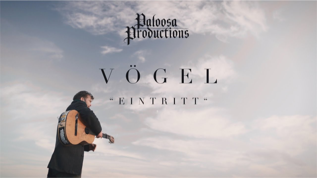FIO - Vögel