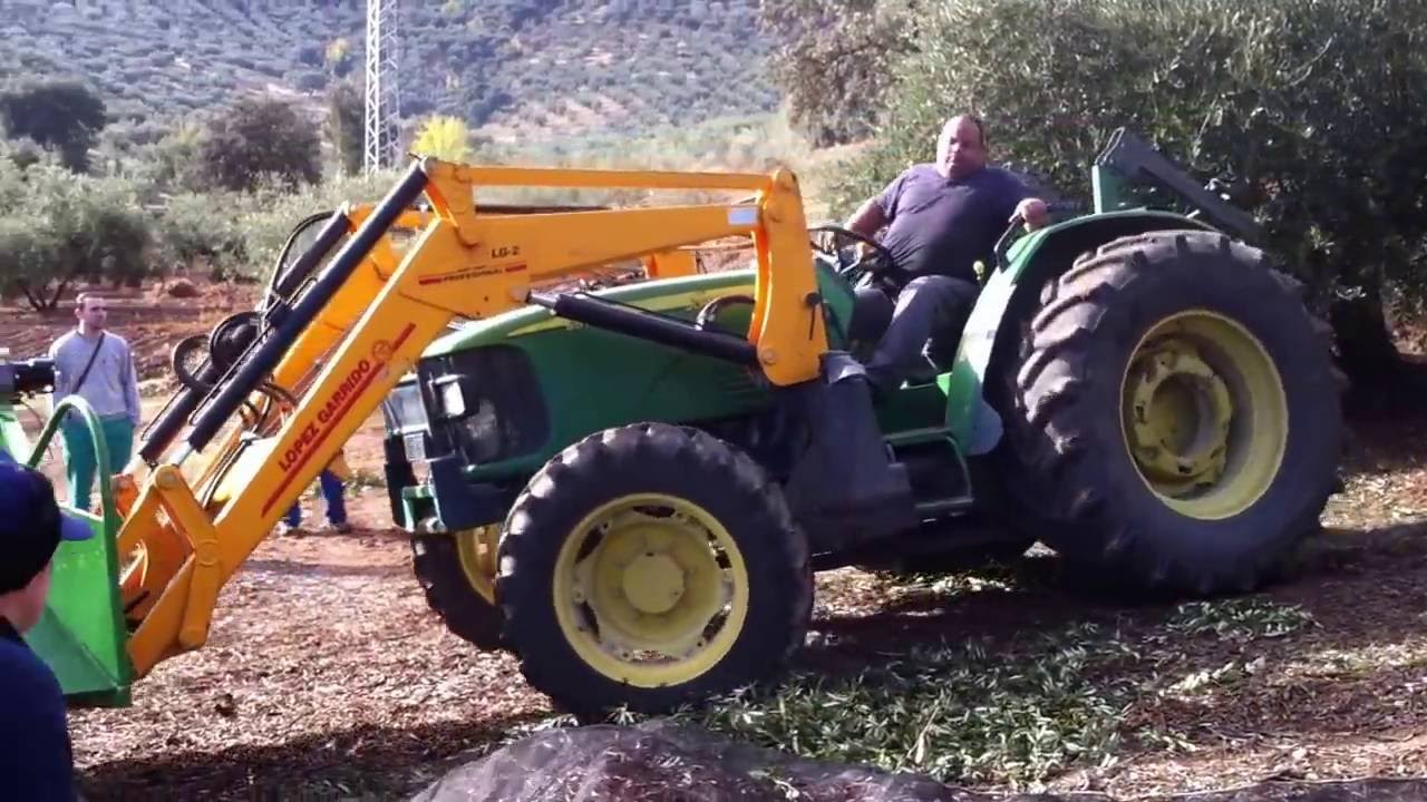 Prueba de Cajón recoge aceitunas