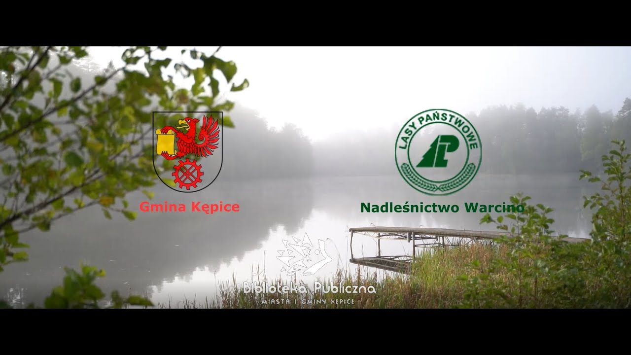 Grzybobranie Gmina Kępice