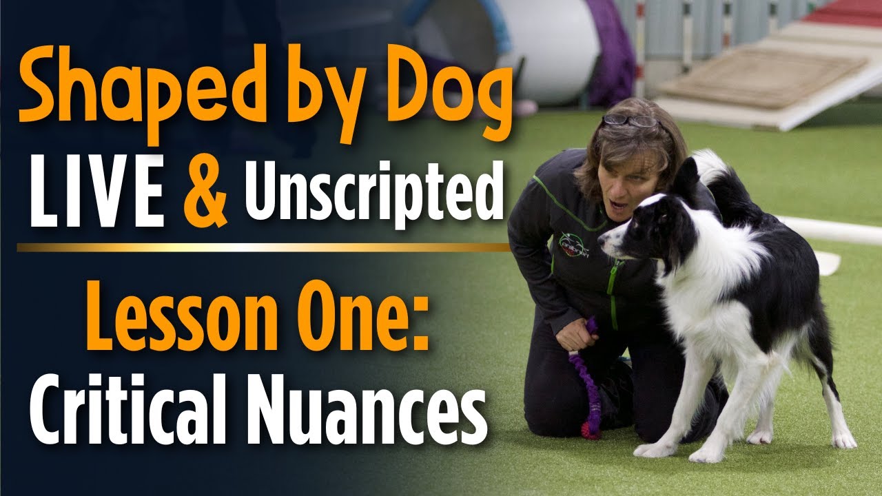 Live and Unscripted: Lesson 1 Critical Nuances