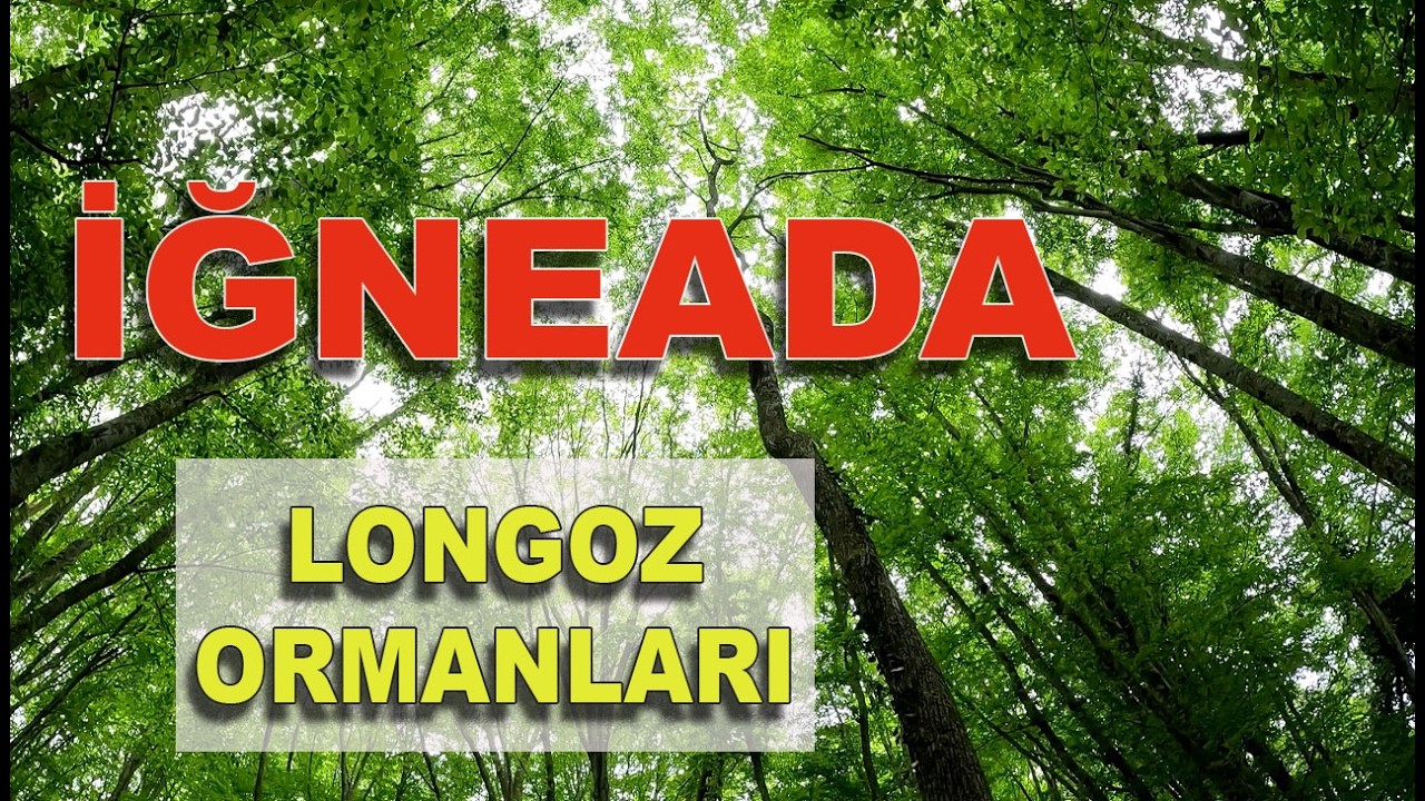 Doğayı Yaşa: İğneada Longoz Ormanları ve Masalsı Fener Gezimiz