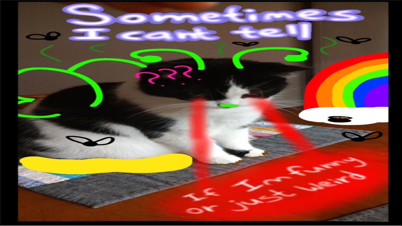 bars about cars - Brianna M (Official Audio) 