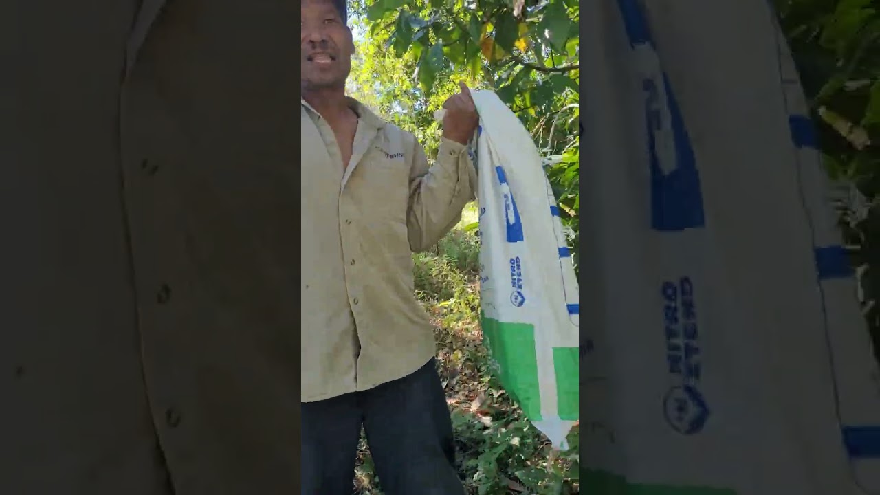 Chinameca 14 de enero 2026 cantón las mesas espero les guste 🏡🏡🏡🙏🙏🙏👍👍