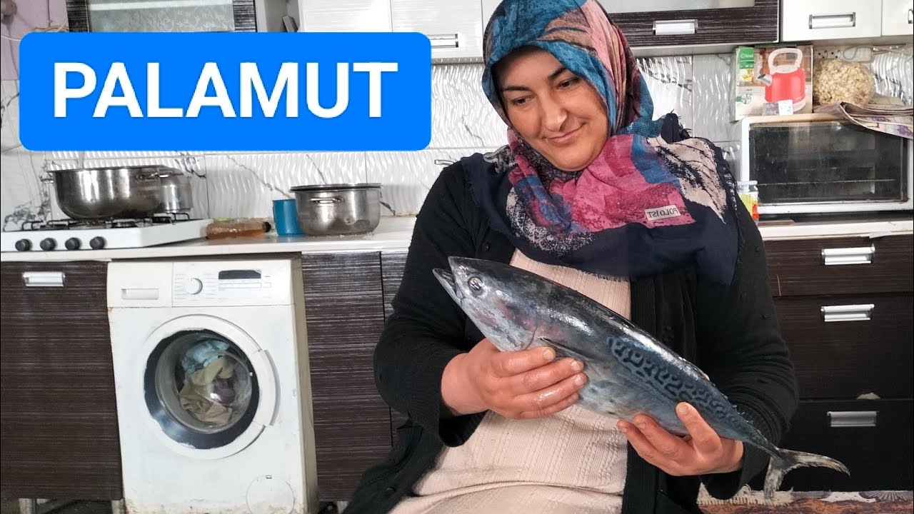 Tavuklara mısır patlattık, Palamut pişirdik