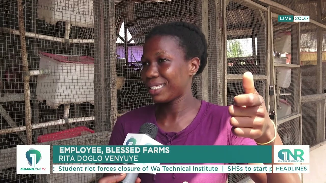 Egg glut: Poultry farmers blame phenomenon on foreign infiltration of the industry