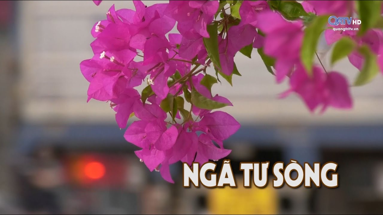 [Chuyên mục] Đất và người Quảng Trị - Ngã tư Sòng | Truyền Hình Quảng Trị