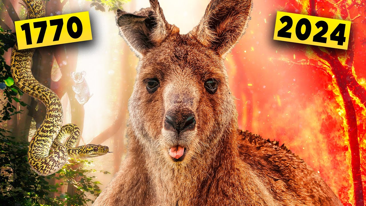 L'HISTOIRE DE L'AUSTRALIE