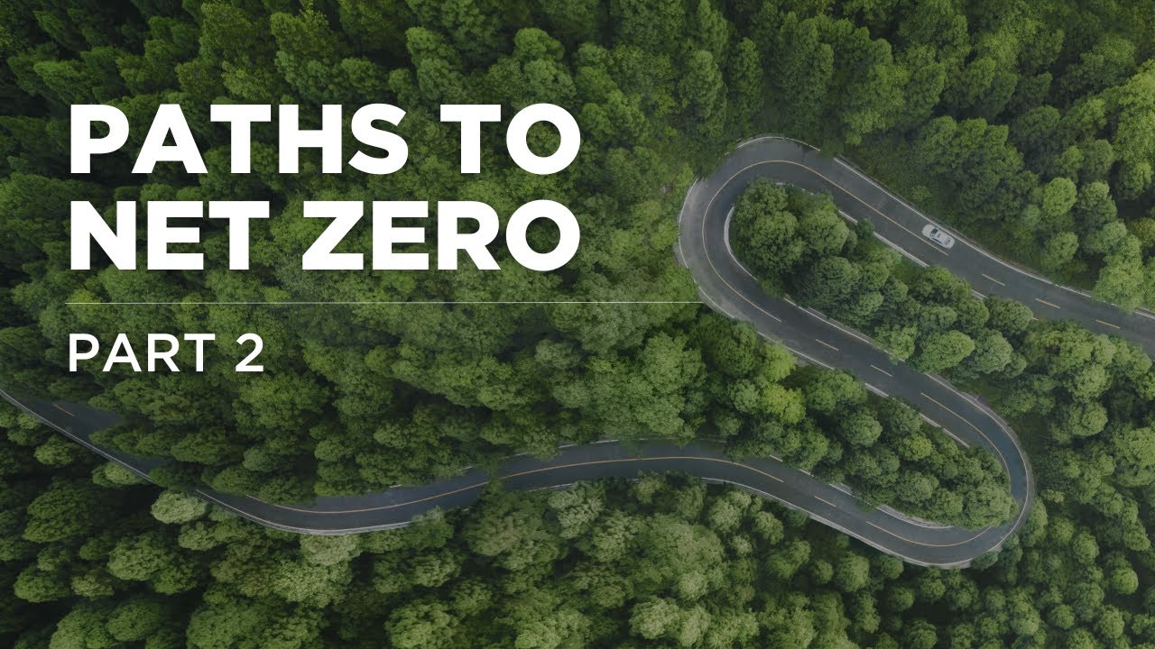 Sustainability: Drivers, Carbon Calculation, and ROI