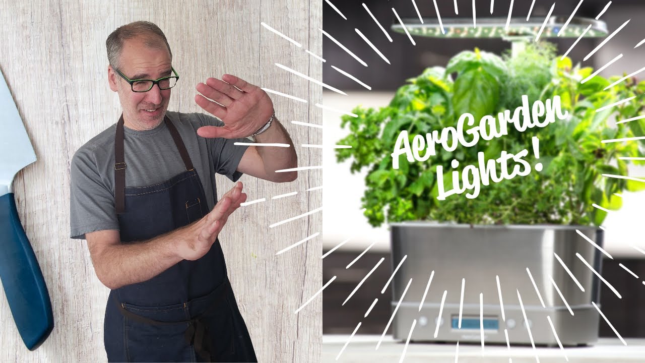 How to Set AeroGarden Lights | AeroGarden Harvest Elite Review | Day 2