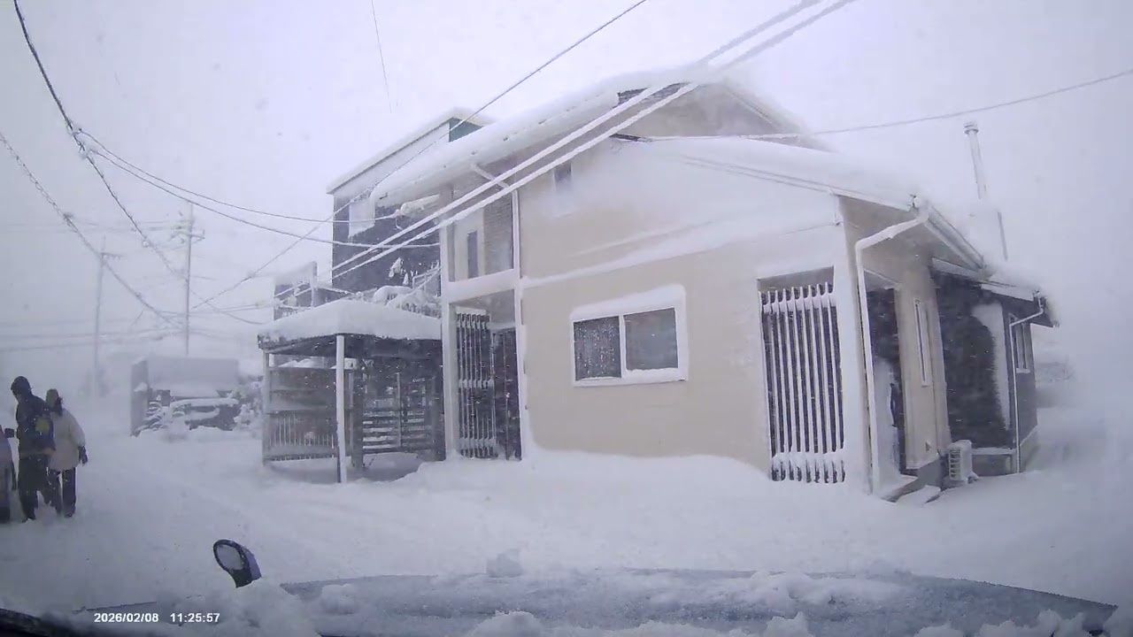 2026年2月８日　鳥取県でも大雪でした。ホワイトアウトになるかと思った！