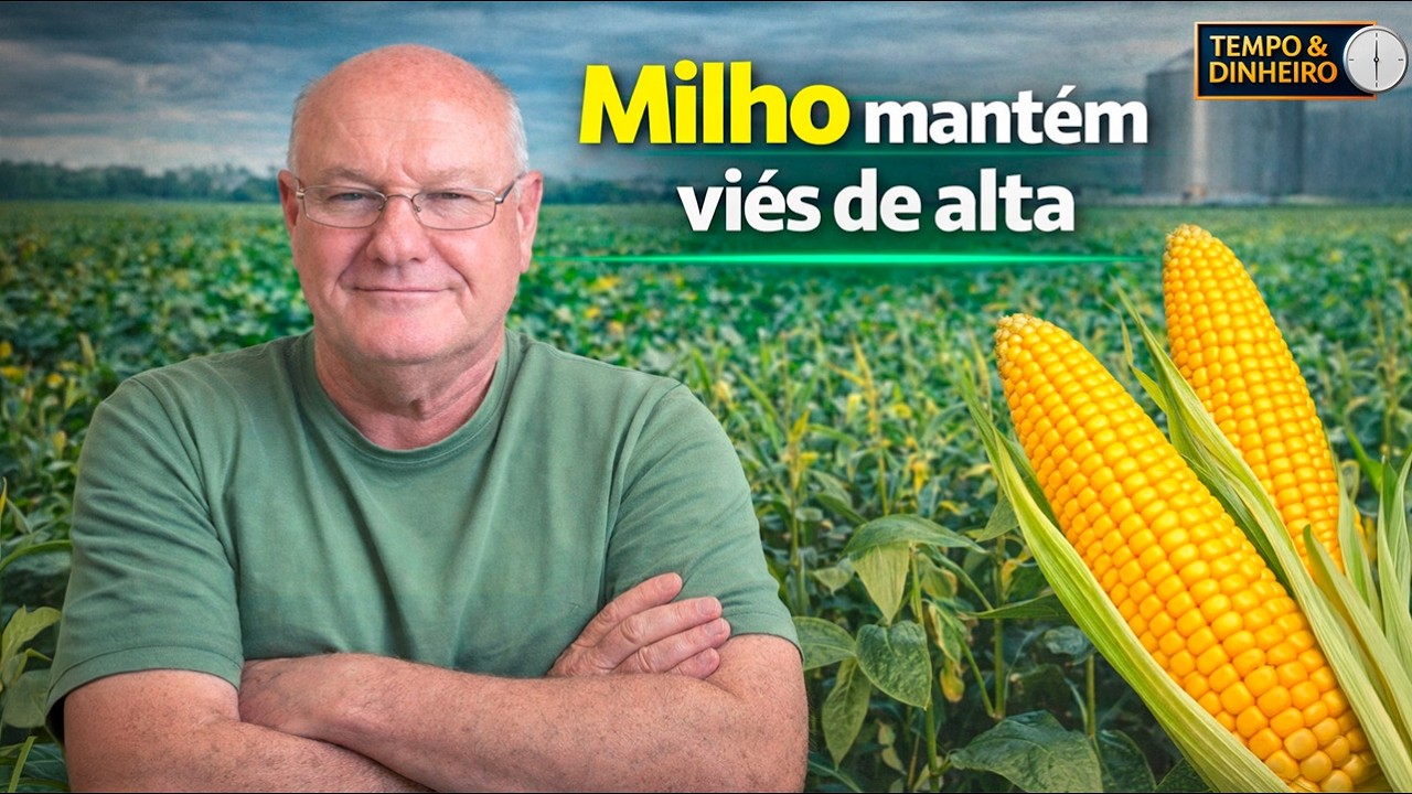 Milho segue positivo no Brasil e mercado mantém sustentação interna