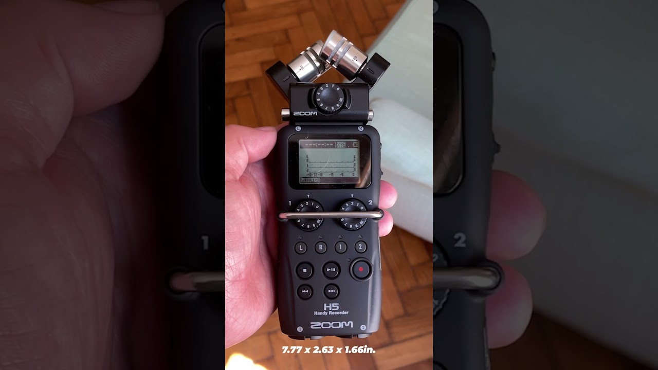 How Big Are They? Zoom H4n Pro, H5 and H6