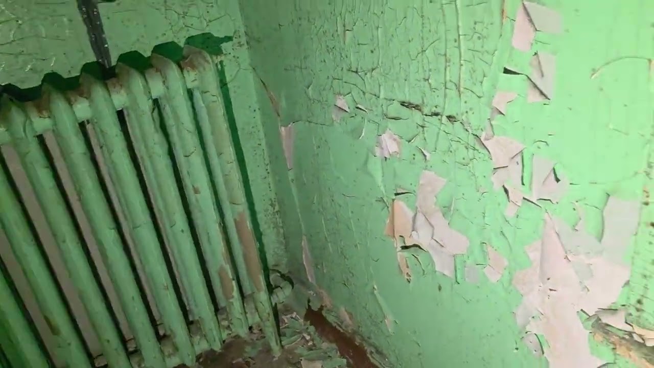 Asylum 