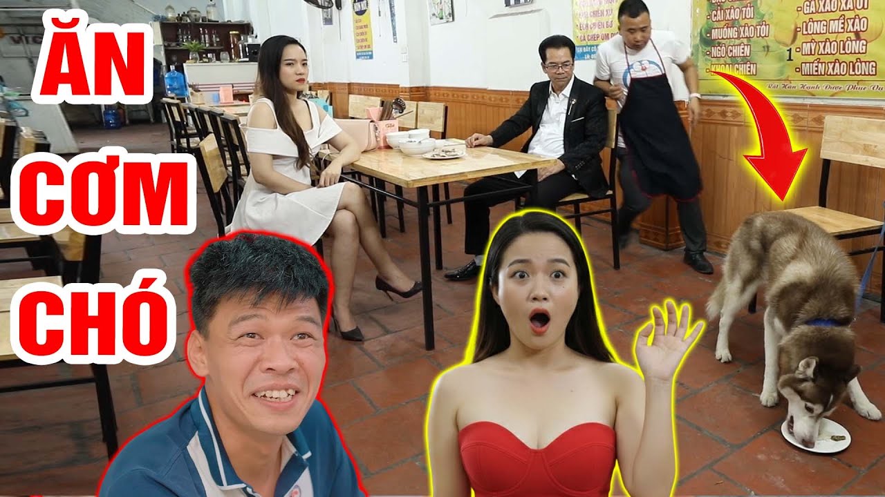 Phim h&agrave;i 2026 - ĂN CƠM CH&Oacute; - Phim h&agrave;i mới nhất - Trung ruồi 2026 - H&agrave;i Tết 2026 - Phim hay