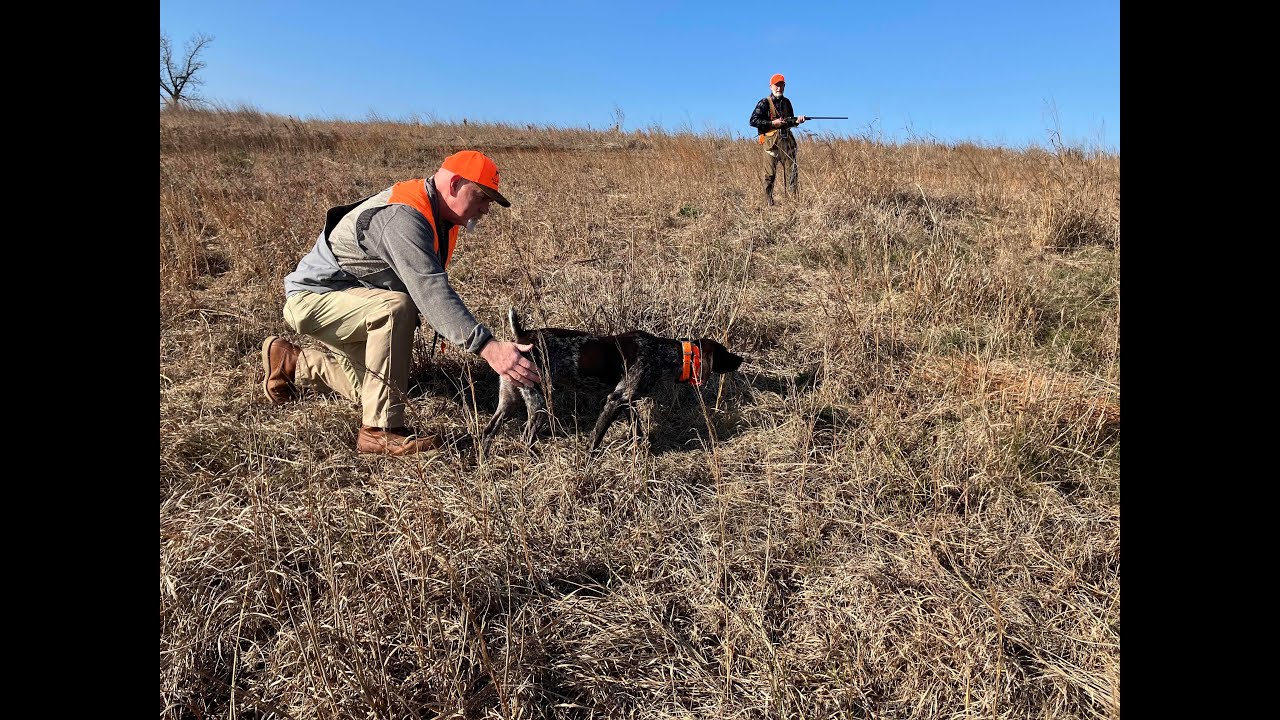 2 5 25 Джесси и Грег Уилсон Охота на перепелов