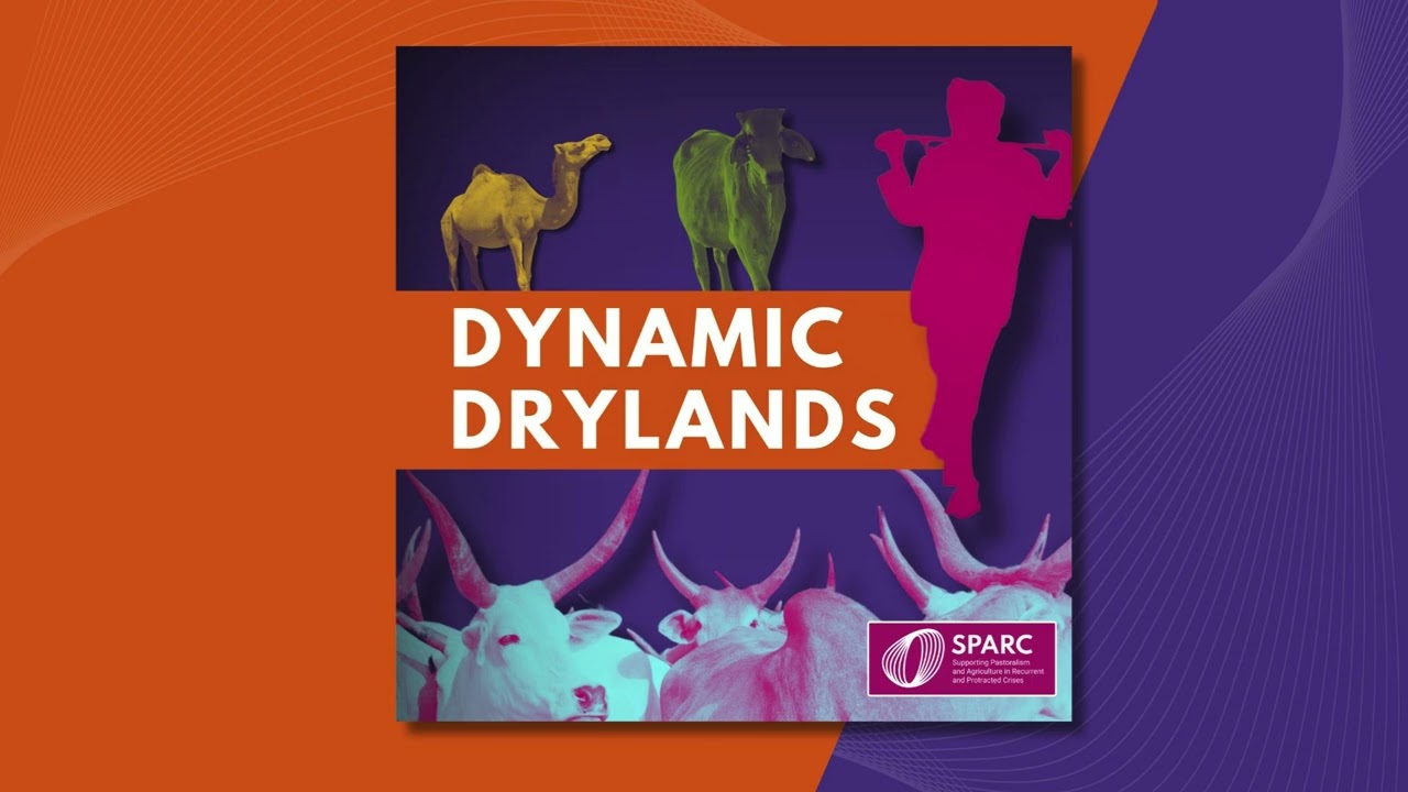Dynamic Drylands | Series 2 Episode 4: How to build resilience in fragile places?