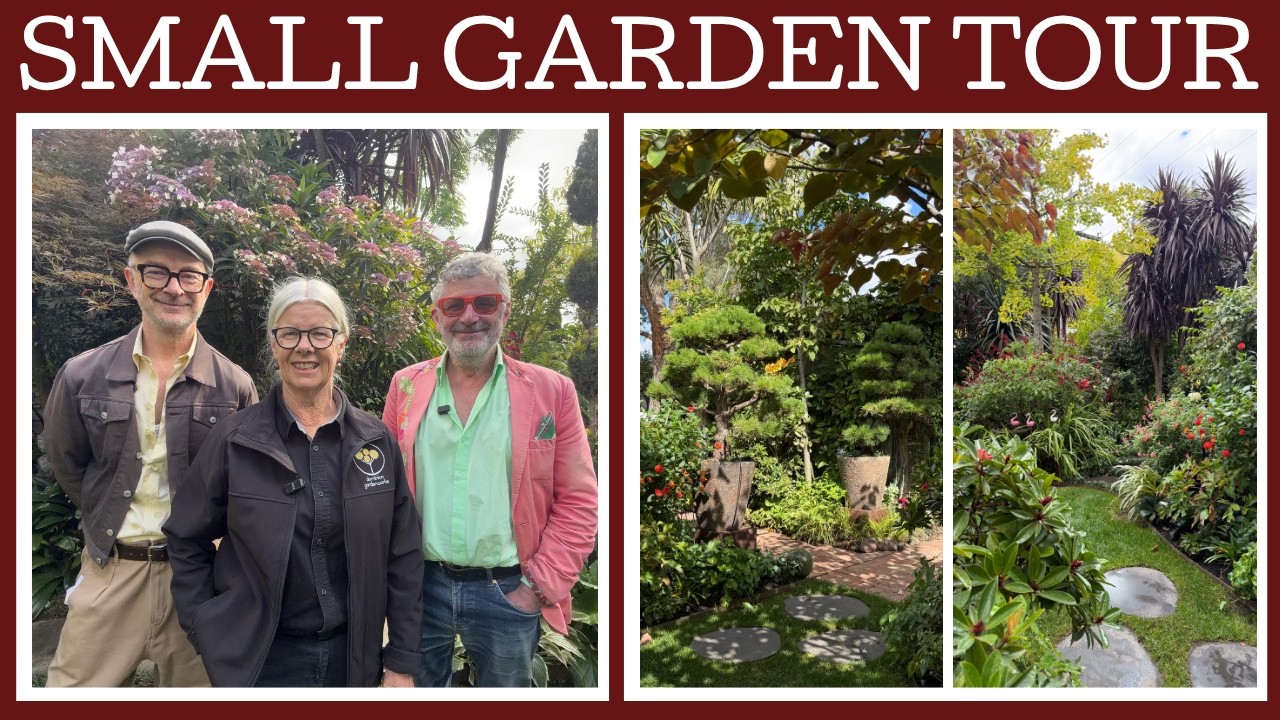 Garden tour: Michelle Olifent's inner city oasis!