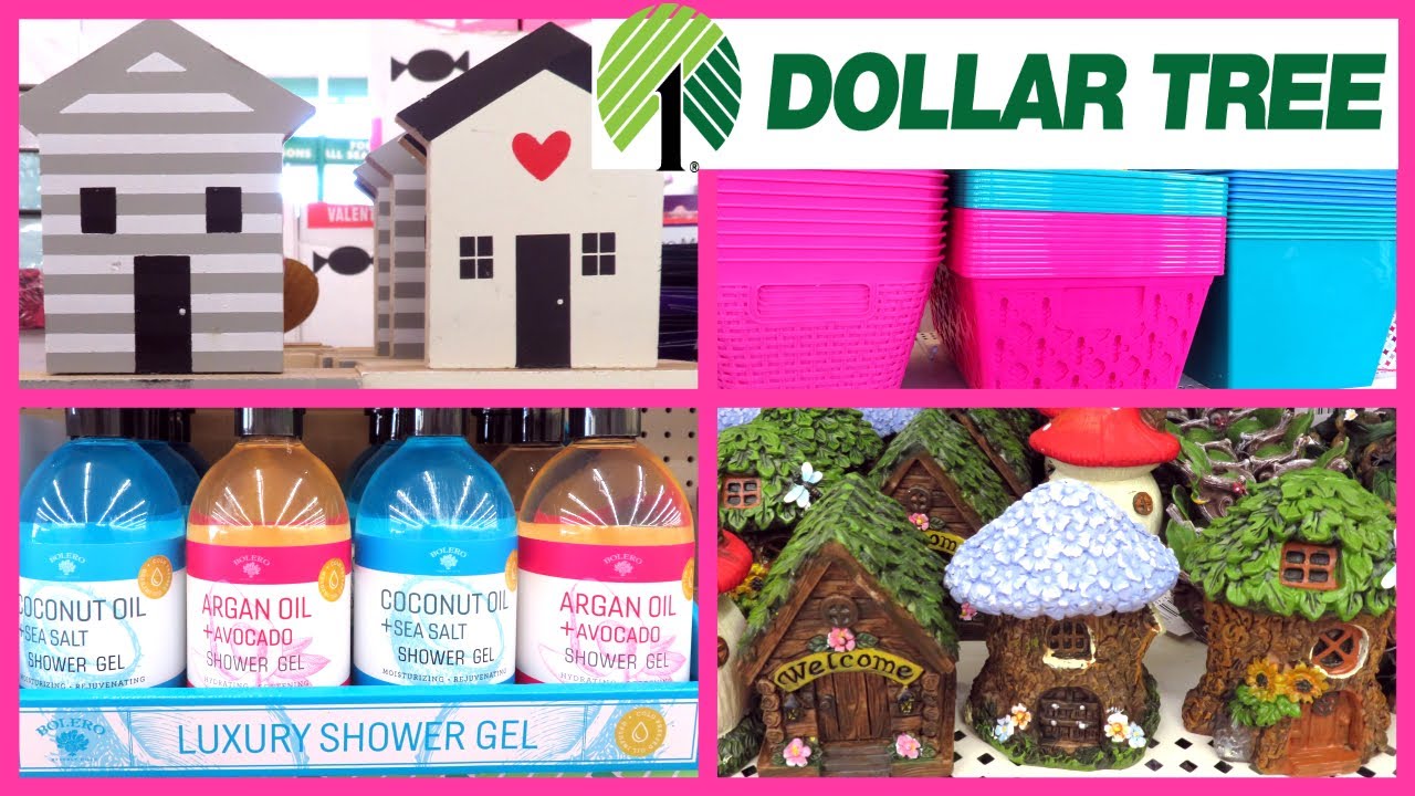 DOLLAR TREE SHOP WITH ME JANUARY 2019